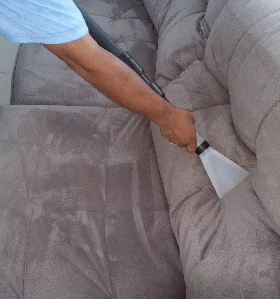 cleaning sofa