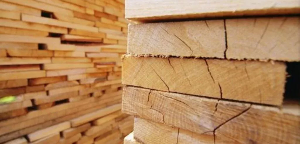 softwood