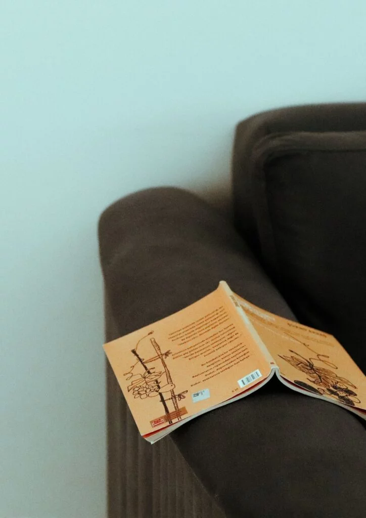 decorate your living room with a comfy brown sofa